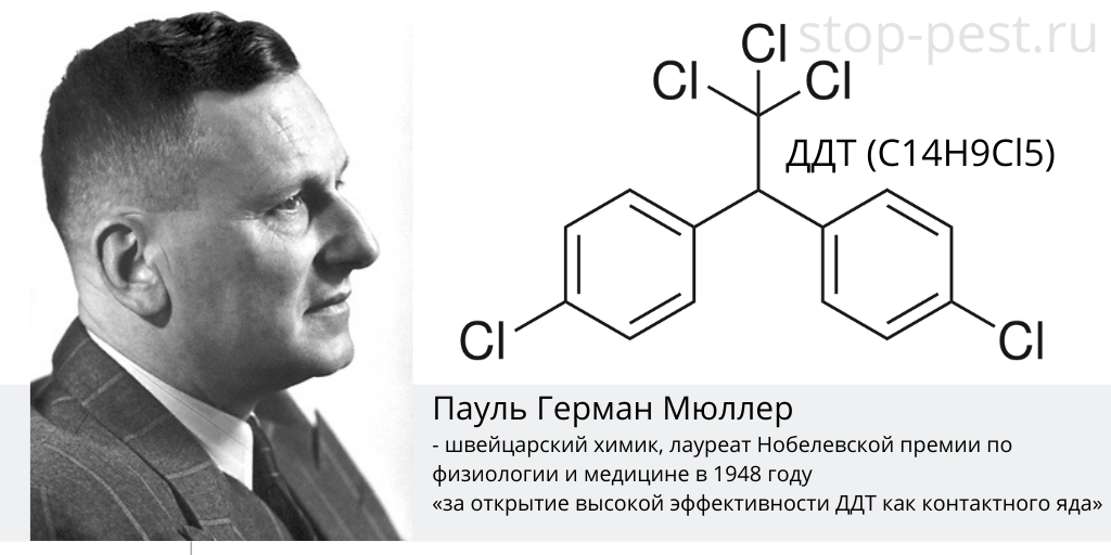 Почему запретили инсектицид ДДТ (дуст) .... и что взамен? СОВРЕМЕННЫЙ ДУСТ  | ЗАЩИТА от ВРЕДИТЕЛЕЙ | Дзен