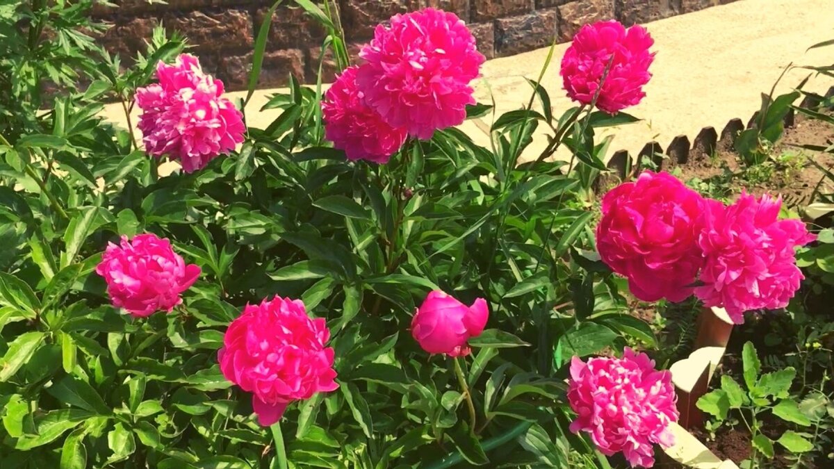 Листайте галерею. Самые обычные, но какие милые
