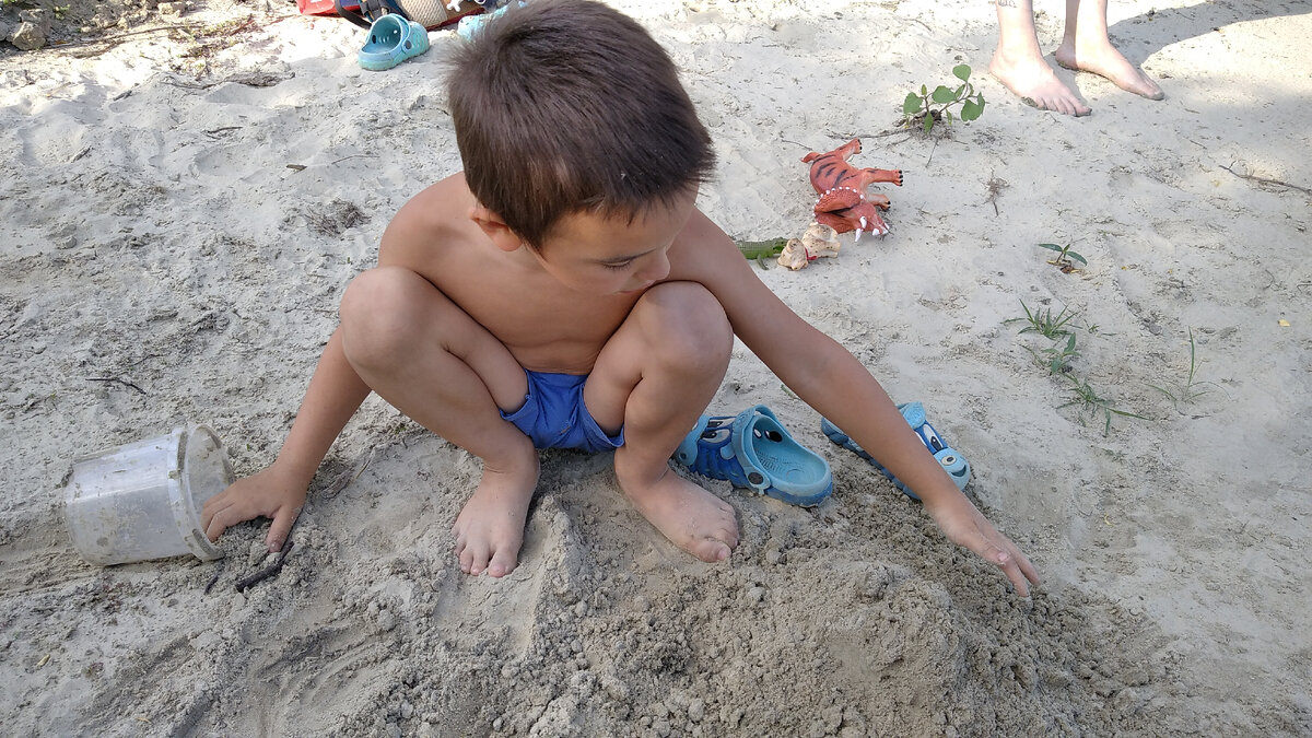 Похороны крокодила.