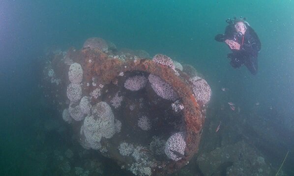 Источник: NOAA