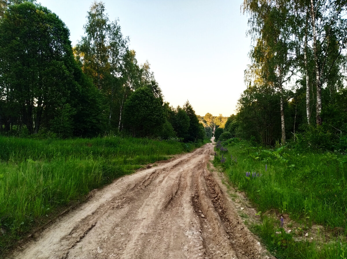 Владимирка московская ул 2 д пекша. Владимирка дорога. Калужская дорога. Старая Калужская дорога. Екатерининский тракт в Нижегородской области Варнавино.