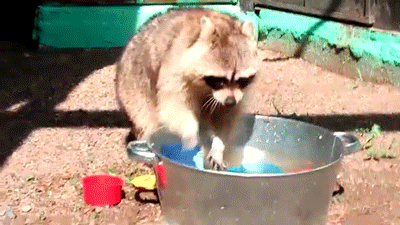 Я и баночки 24/7 