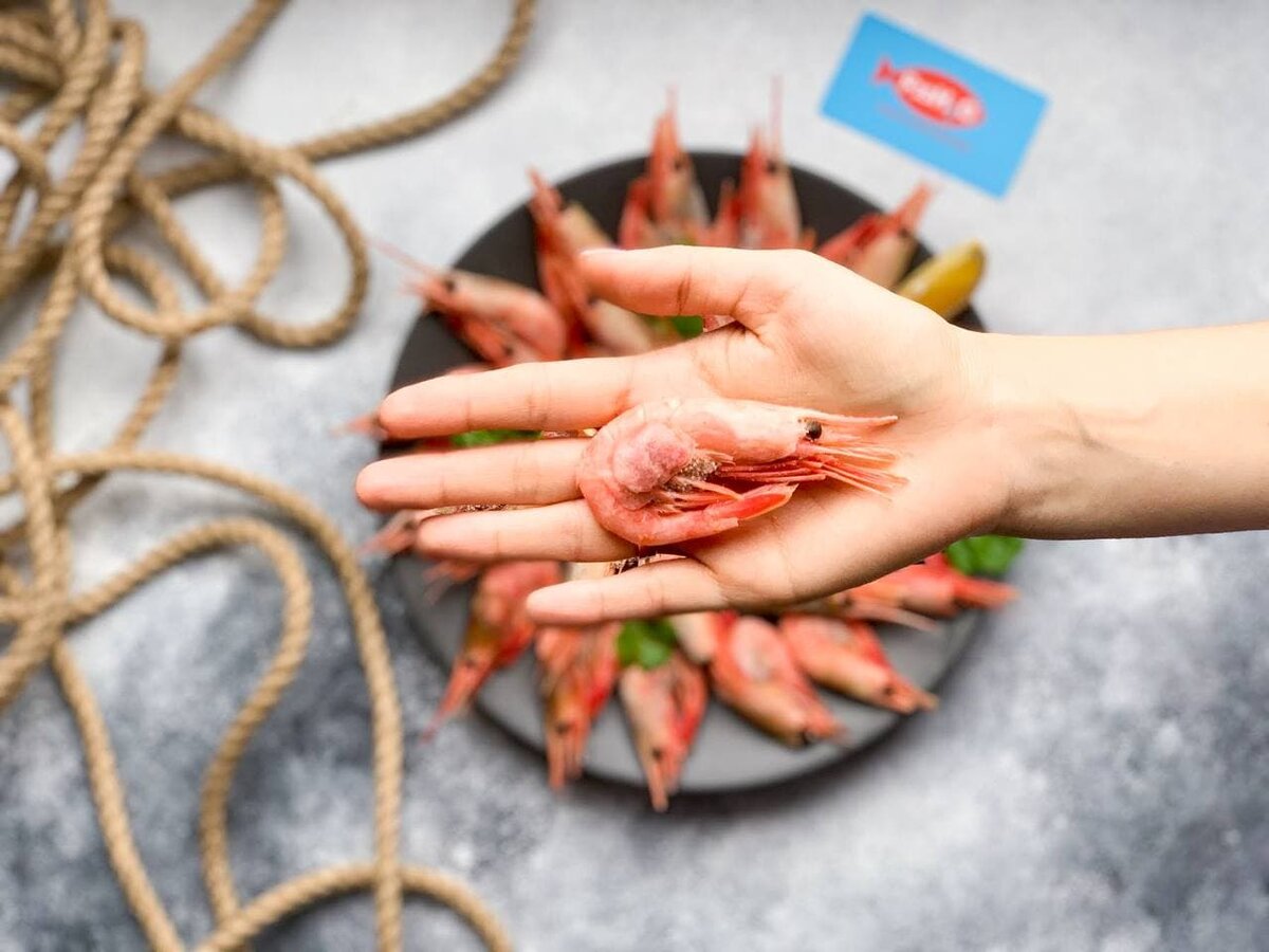 Размеры креветок: какие бывают и как выбрать нужный | fish2o ...