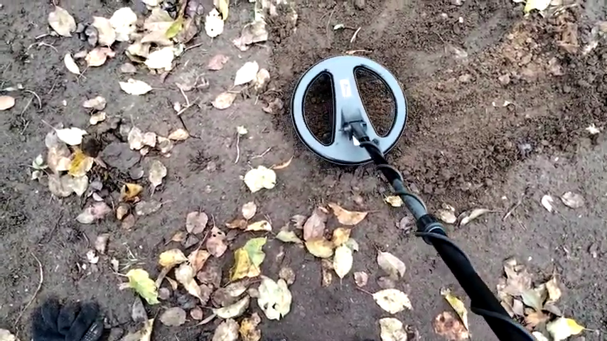 Поиск с металлоискателем