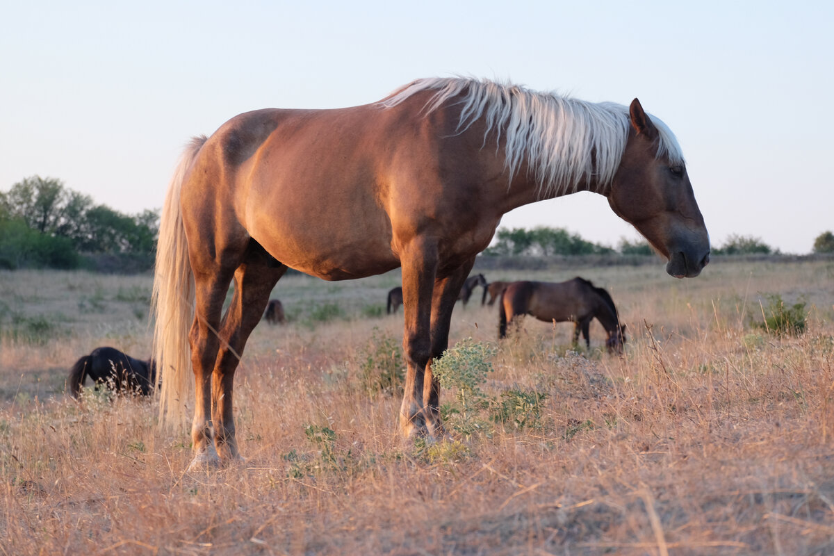 Все без исключения такие красивые!