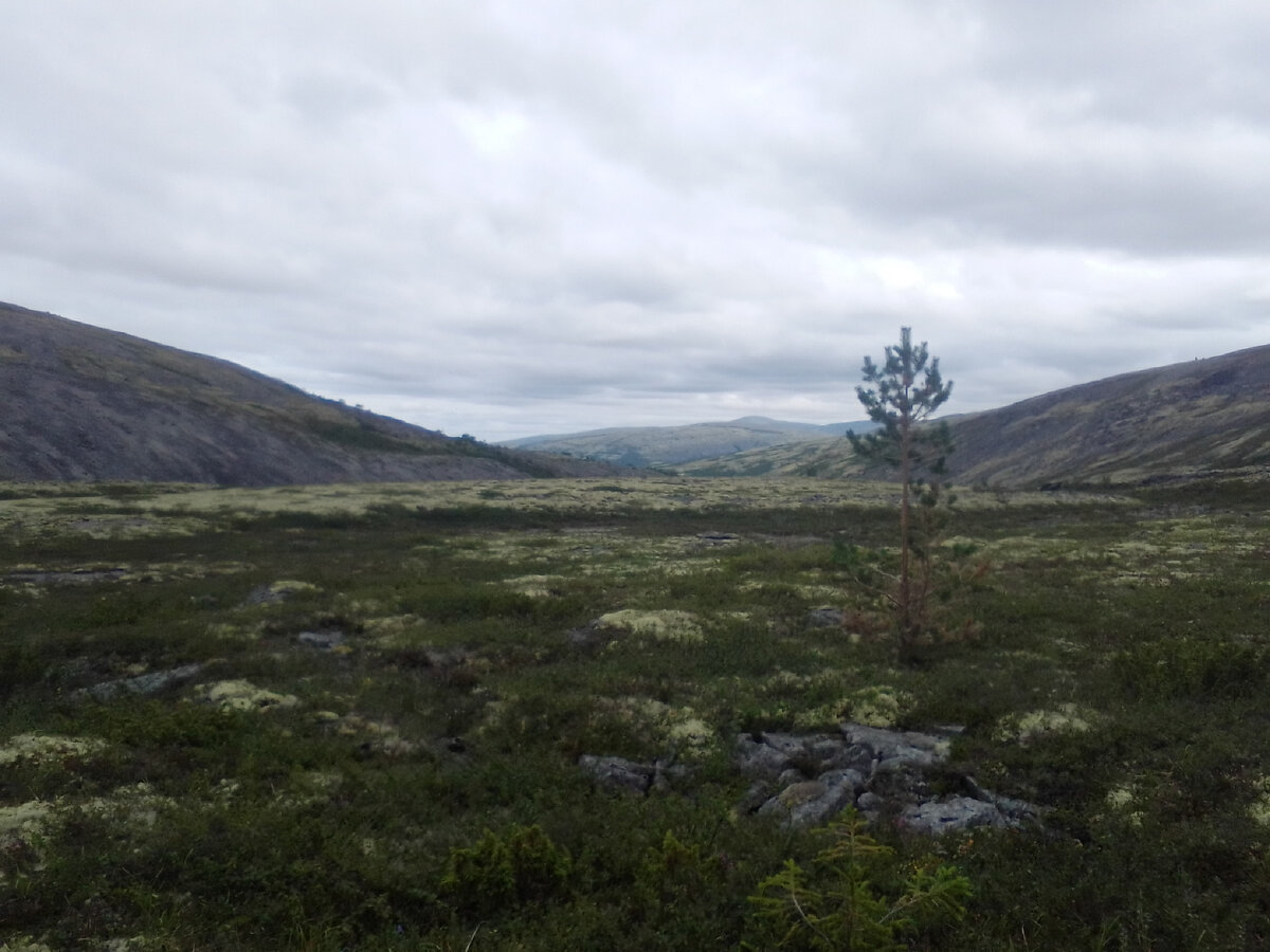 Моё любимое фото