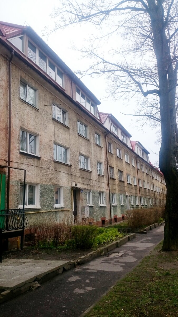 Мрачный день и мрачноватый дом...с теми самыми обжитыми чердаками...