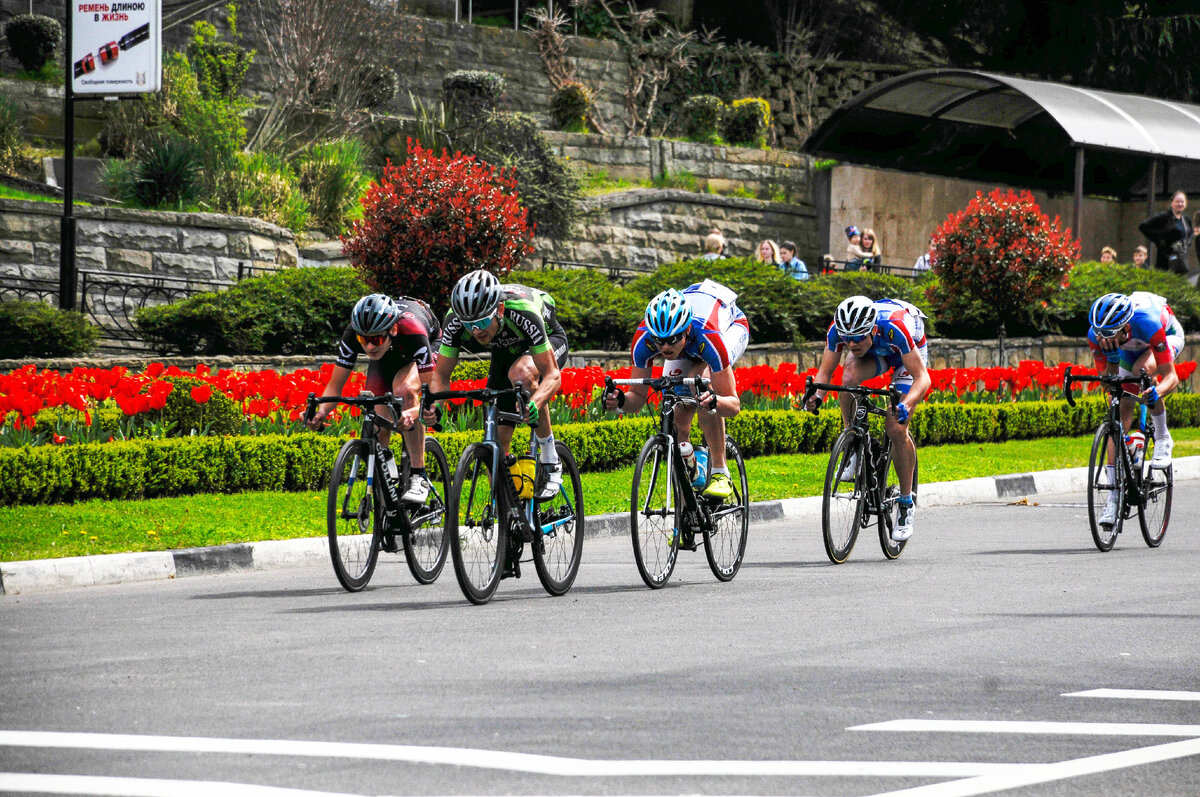 Велоспорт шоссе