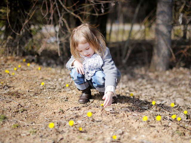 фото яндекс  baby.disney.ru