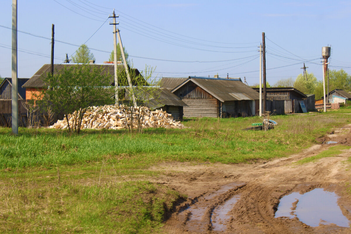 Большое село в Нижегородской области Носовая, в котором заброшены целые  улицы вместе с домами, а люди уже полы пилят на дрова | Под зонтиком | Дзен