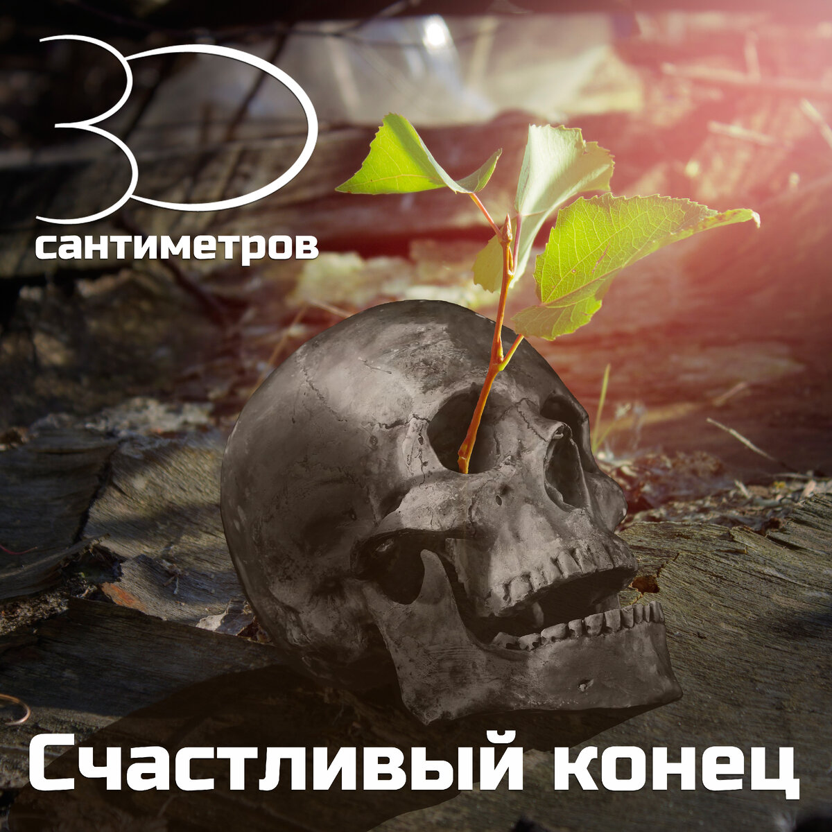 Обложка альбома "Счастливый конец"