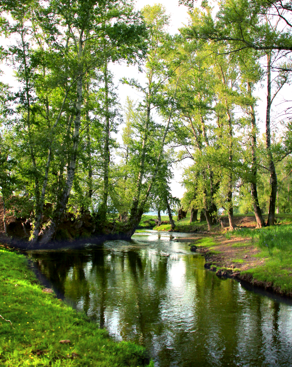 Фотография, стихотворение Василия Глуцкого
