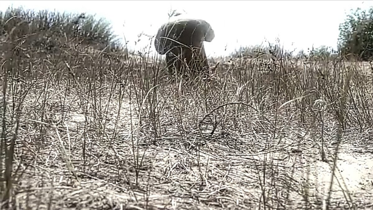 Скриншот ролика "Мифы и страшилки об атомной энергетике" С. Кропотин