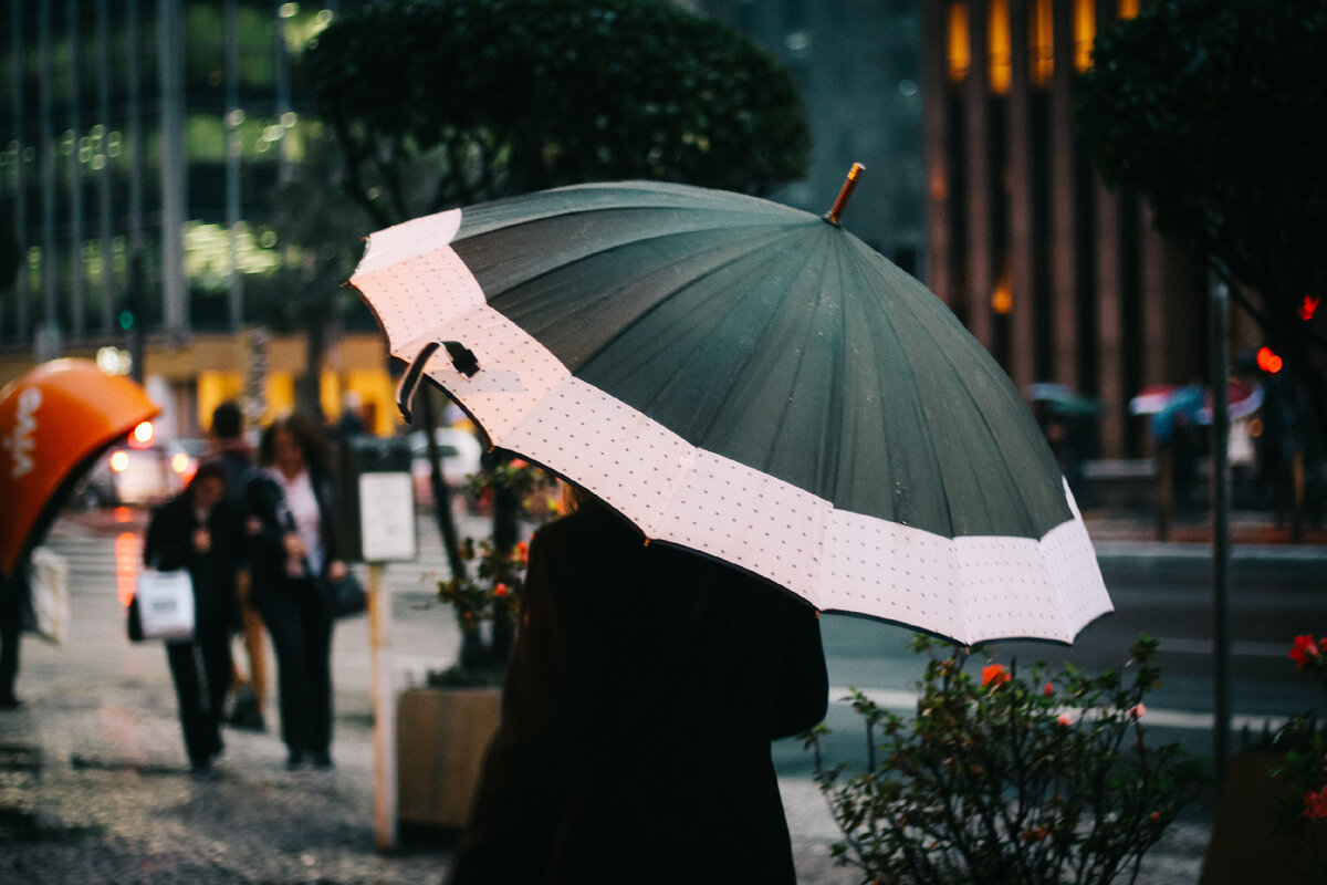 https://get.pxhere.com/photo/umbrella-snapshot-rain-fashion-accessory-urban-area-tree-photography-street-architecture-night-city-pedestrian-precipitation-1571671.jpg