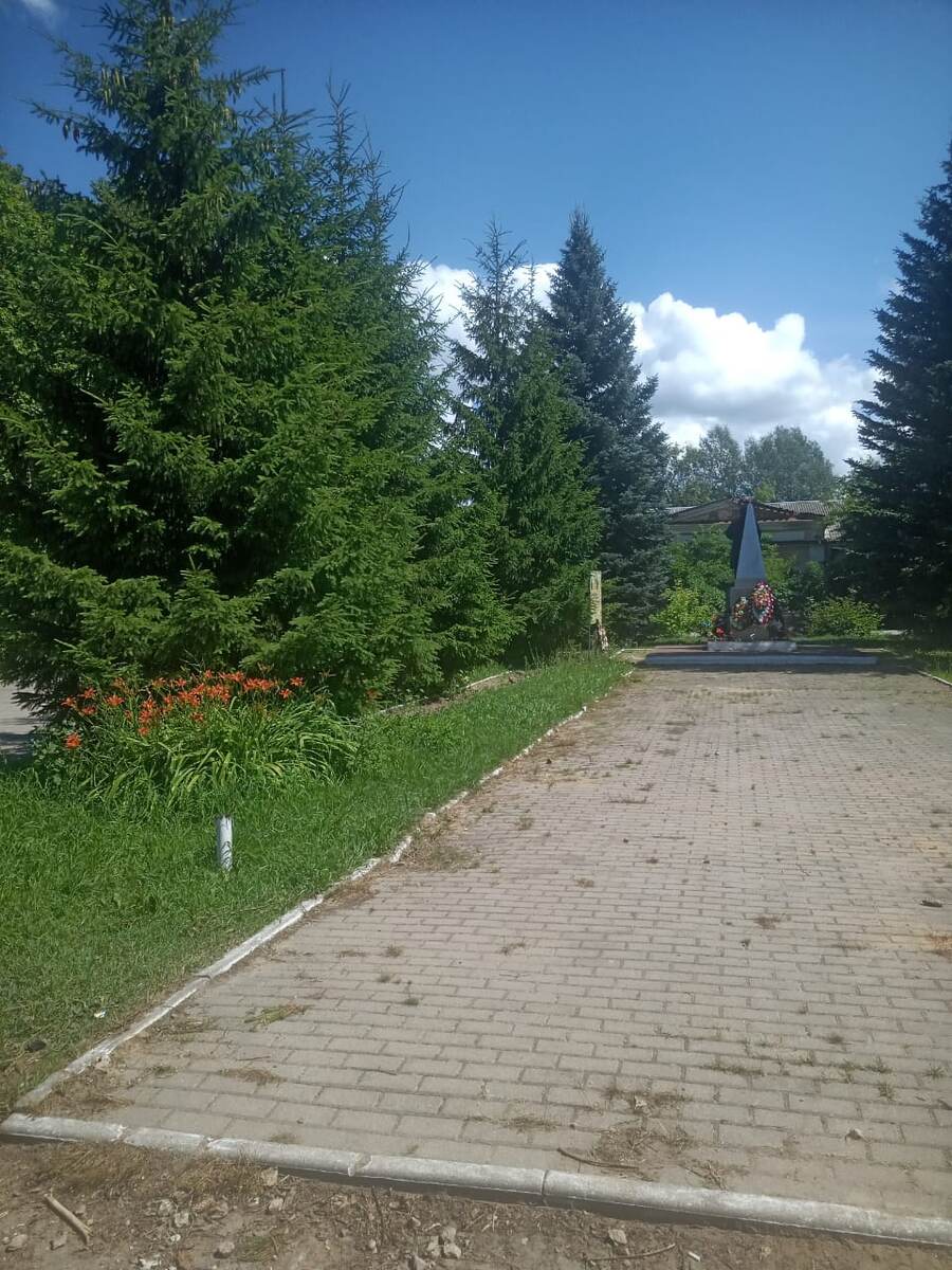 На фотографии оставшиеся пока елки слева. Точно такие же были с права