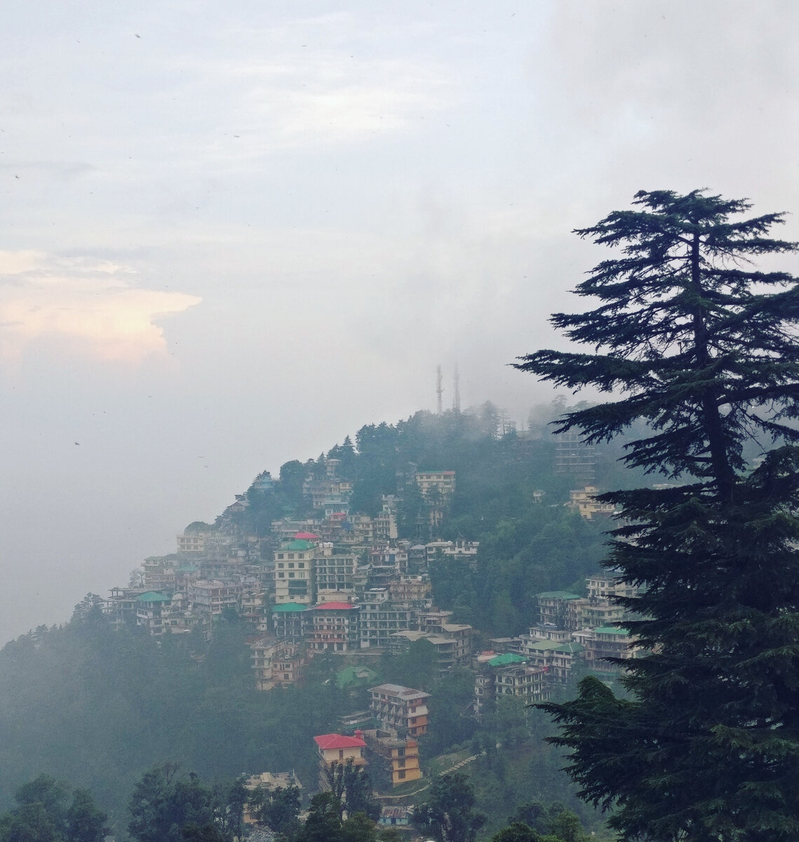 Дхарамсала. Автор: Алексей Васильев, 4 июля 2019