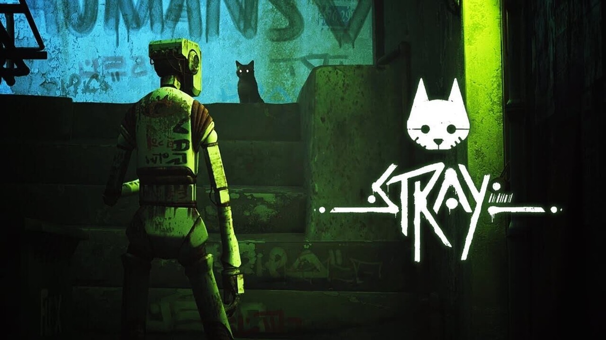 Котик смотрит на робота и робот смотрит на котика. Все довольны. Игра Stray.
