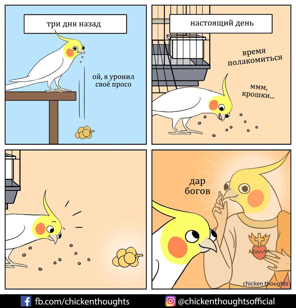 Comic канал