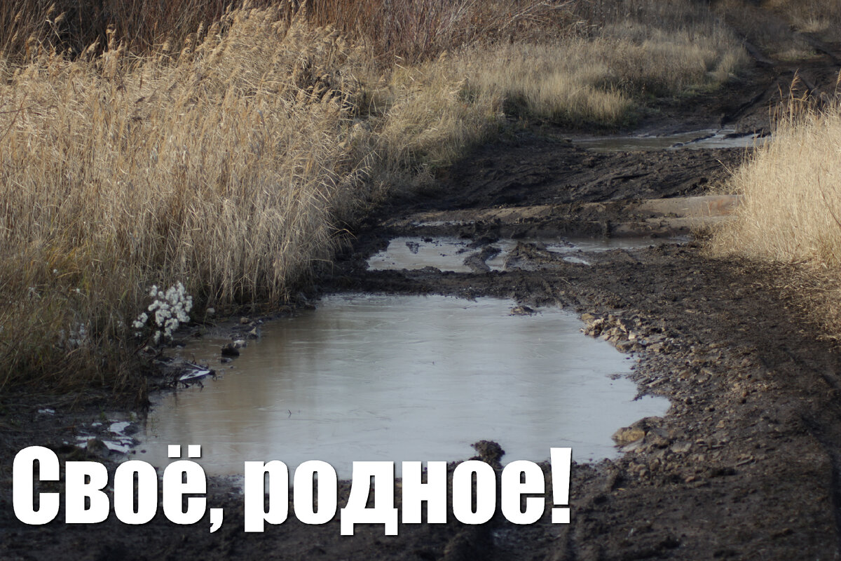 Грунтовая дорога типичного российского села поздней осенью/© Личный архив