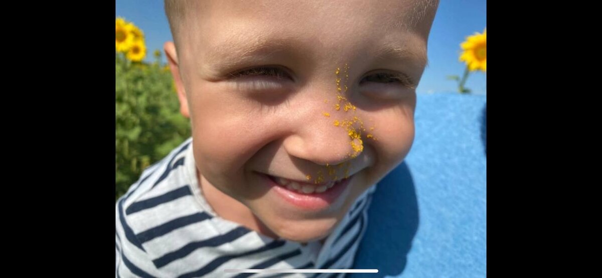 Подсолнухи