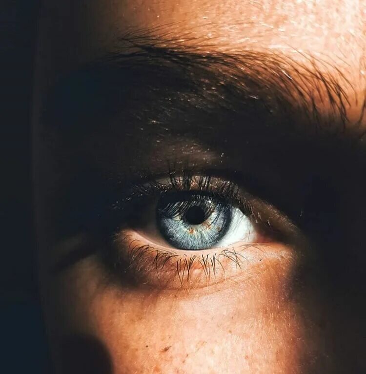 Из открытых источников. 