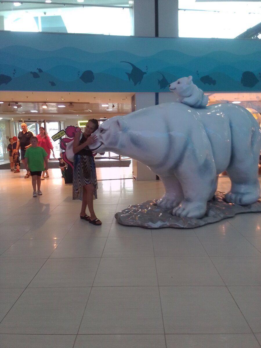 Мне очень понравилась 😍. Это внутри Москвариума. На входе стоит охрана. Проход через "рамки". Много касс. На втором этаже есть фудкорт, но мы туда не ходили. Сам океанариум находится в цоколе. 