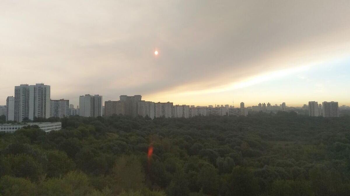    Гарь и задымленность на северо-востоке Москвы© РИА Новости