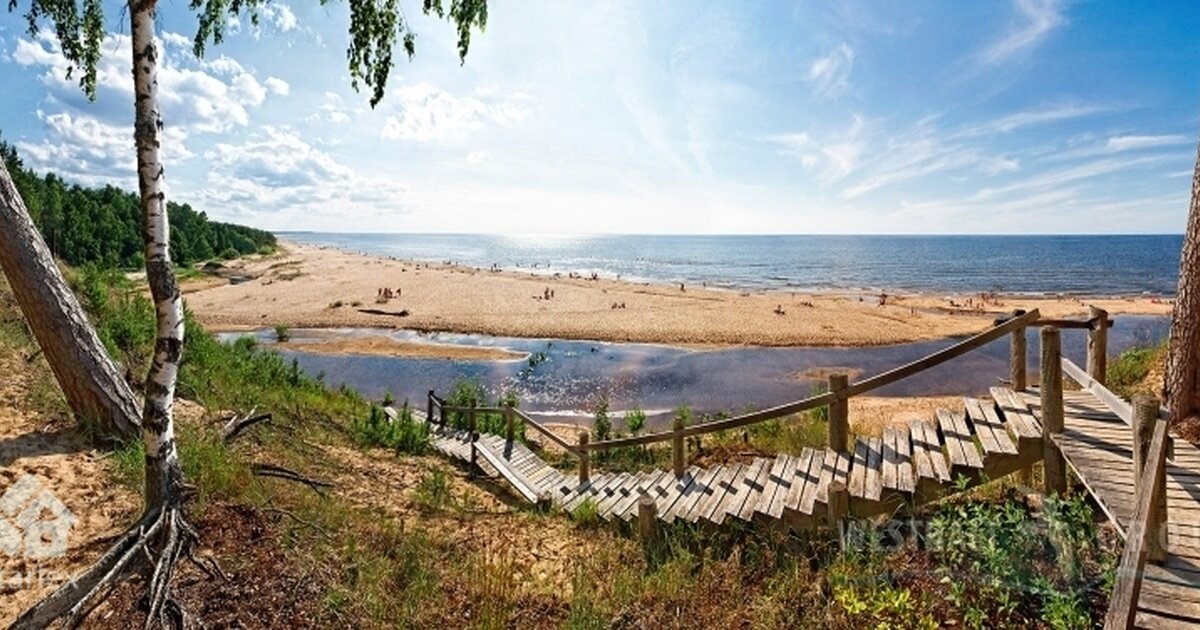 Берег Рижского залива Саулкрасти - Айнажи. Фото из интернета.