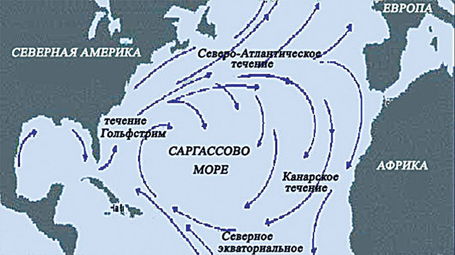 Море саргассово на карте