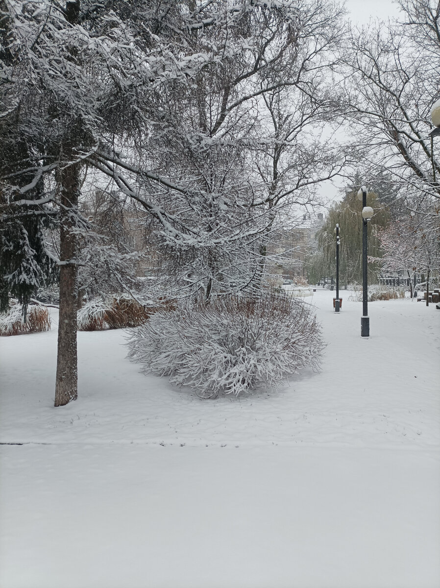 Катили как первопроходцы