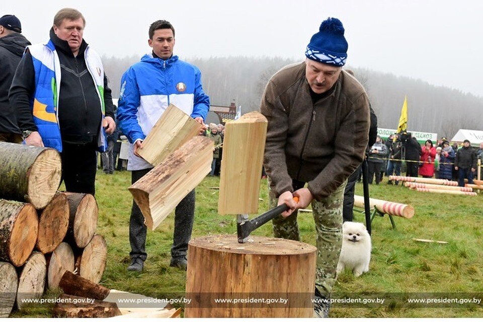     Лукашенко во время чемпионата по колке дров поручил передать колотые дрова нуждающейся семье. Фото: president.gov.by