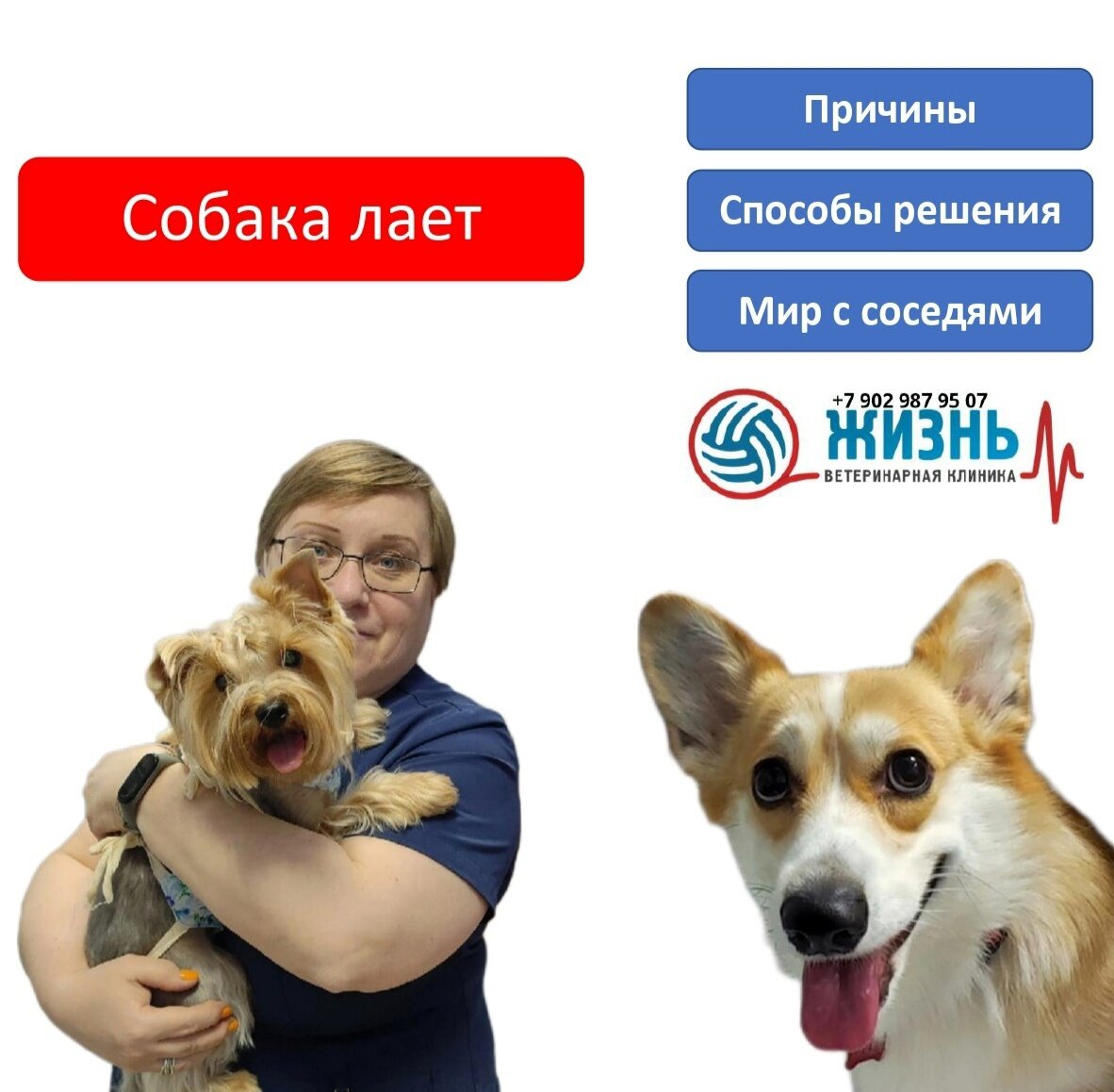 Что делать, если собака лает и мешает соседям.