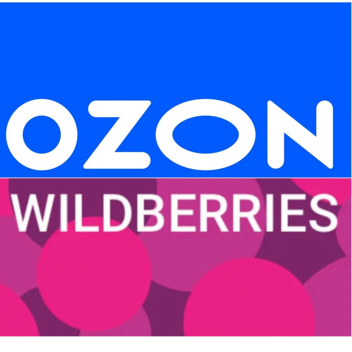 Вайлдберриз и озон в одном помещении. Озон Wildberries. Озон логотип. Wildberries OZON картинки. Знак Озон и вайлдберриз.
