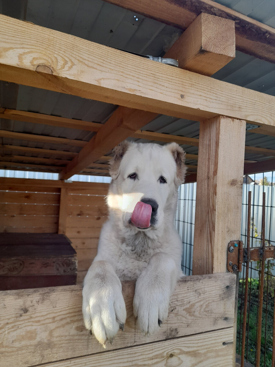 Фото мое и все авторские права принадлежат мне🤭