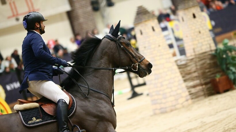    Первый в истории Кубок Президента ОАЭ по конкуру в Maxima Park ©предоставлено организаторами Фото