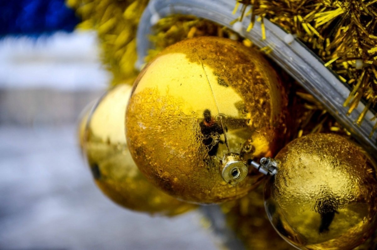    6 из 10 туляков любят Новый год