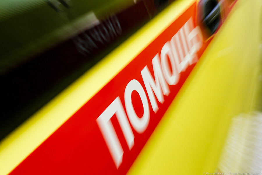 Фото: Виталий Невар / Новый Калининград