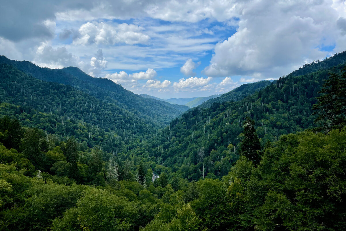 Great Smokey Mountains Landscape photography, Mountain photography, Scenic photo