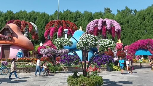 Это дубайское чудо нужно обязательно увидеть! Dubai Miracle Garden вызывает восхищение!