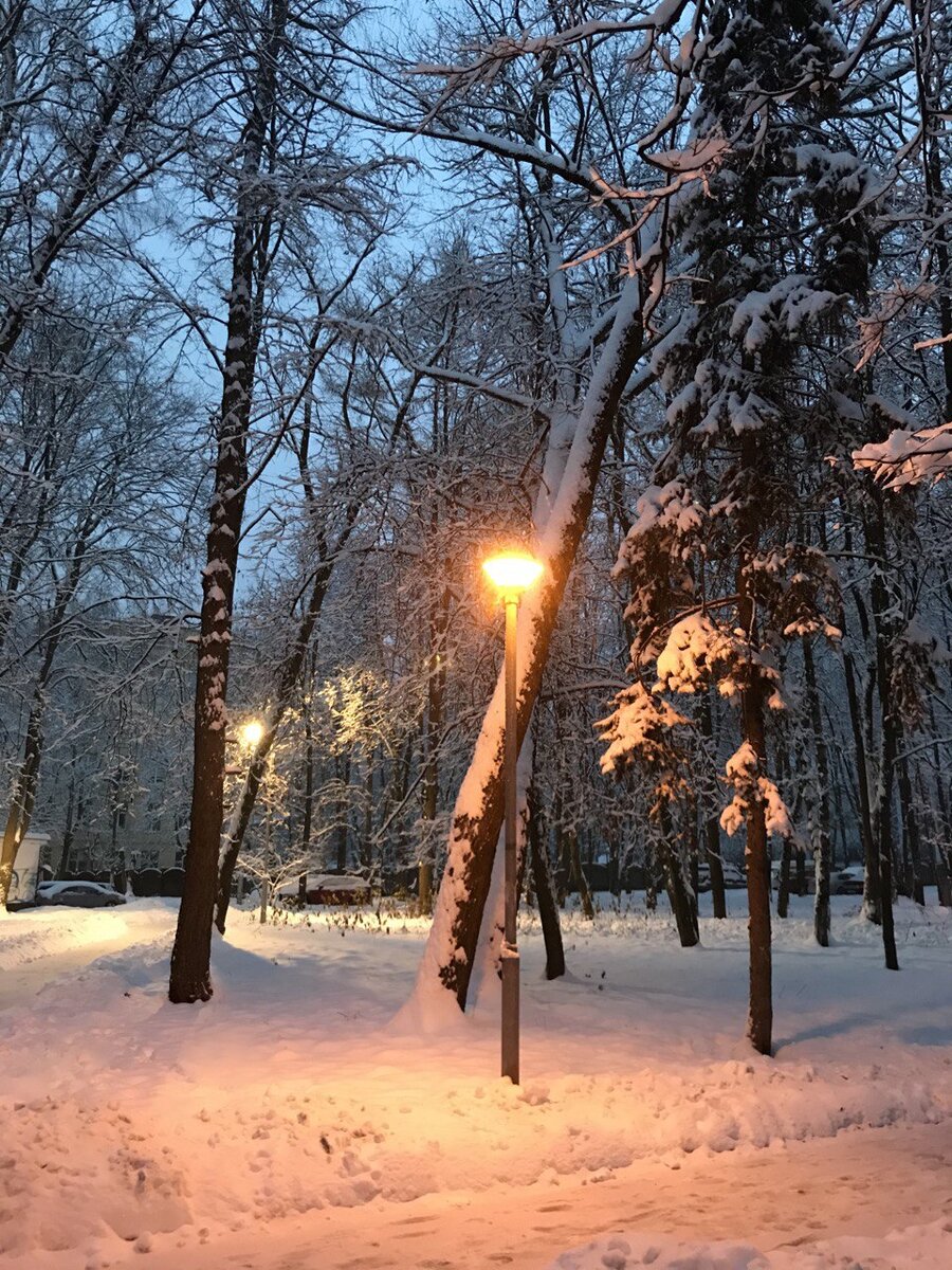 У нашего дома