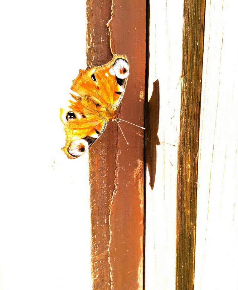 Фото М.Кузнецова