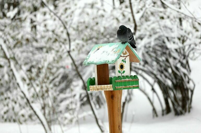   Сергей Ведяшкин / Агентство «Москва»