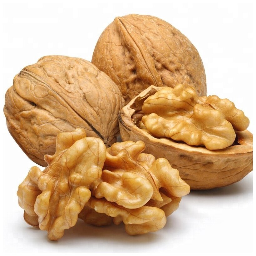 Грецкий орех