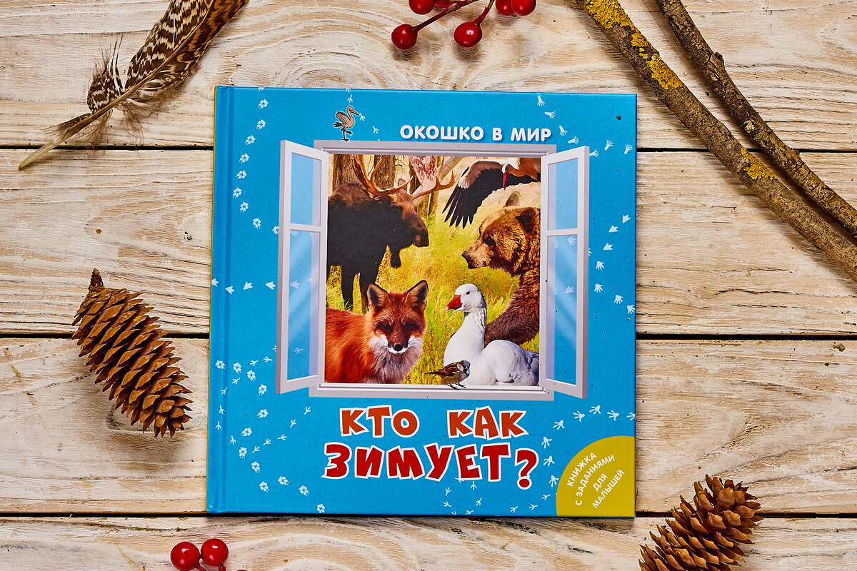 Э. Наставник "Кто как зимует?".  Серия "Окошко в мир"