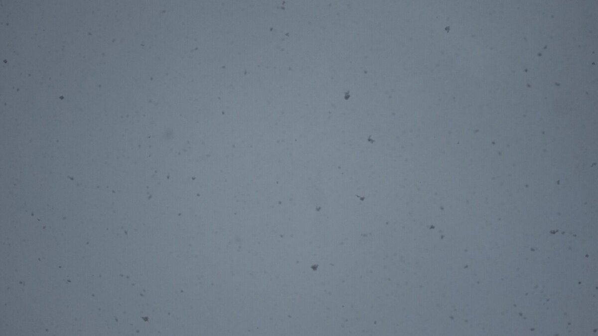     Крайне тяжёлая ситуация сложилась в Ольгинском районе Приморья. Из-за разгула снежной стихии местные жители остались без электро- и теплоснабжения.