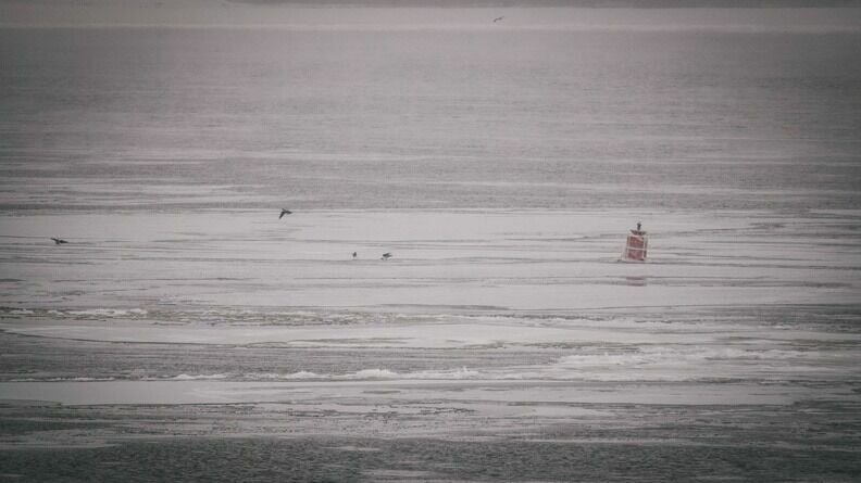     Следы от лыж пропавшей жительницы района были обнаружены около Онежского озера, сообщили в группе ГКУ КРПСС «ВКонтакте».