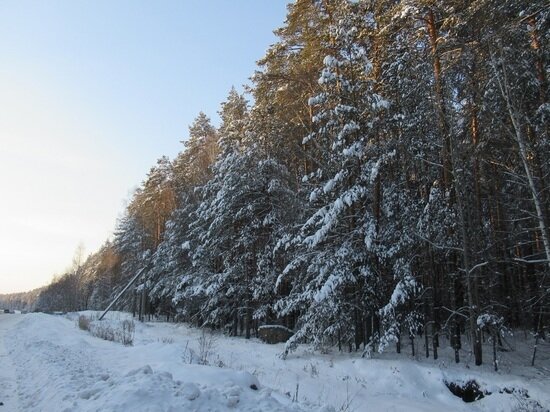     Фото: "МК-Урал".