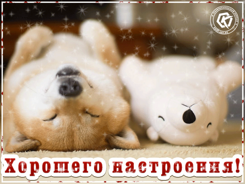 Мерцающая анимация с милым щенком на каждый день, музыкальное пожелание хорошего настроение от чистого сердца