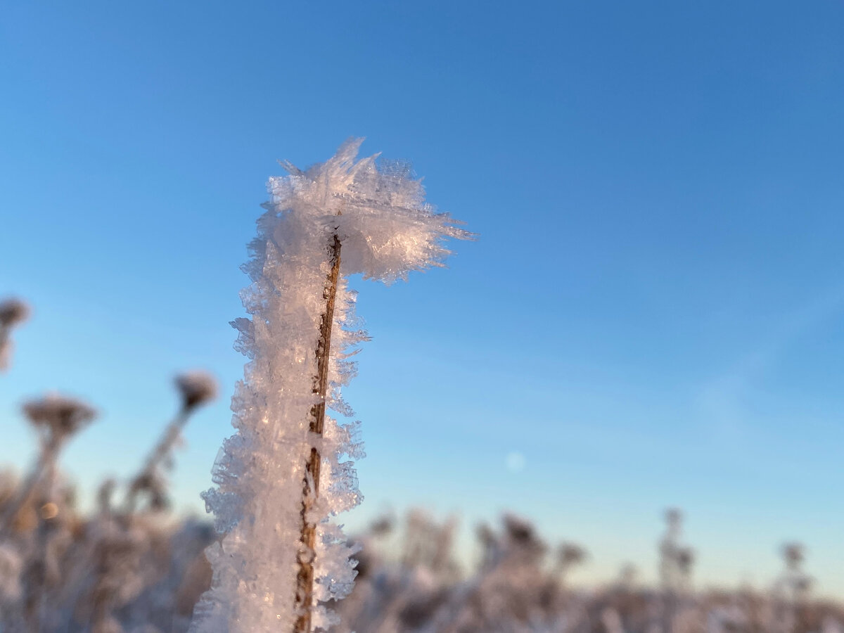 Ретрит центра "Станция Мир"