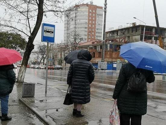     Фото: МК на Дону